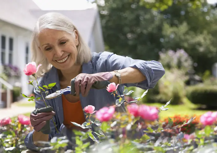 Making the most of your Support at Home funding
