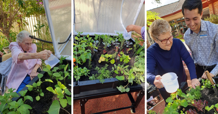 New sensory garden sprouts at St Anne’s Aged Care