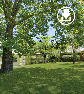 Bodington Wentworth Falls.jpg